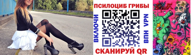 Купить  Дегтярск  Галлюциногенные грибы прущие грибы 